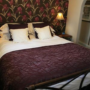 Iris Suite